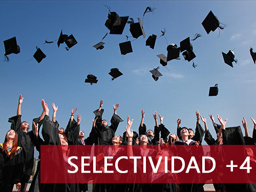 Cursos de selectividad y español para extranjeros - Selectividad +4
